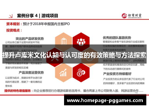 提升卢库米文化认知与认可度的有效策略与方法探索