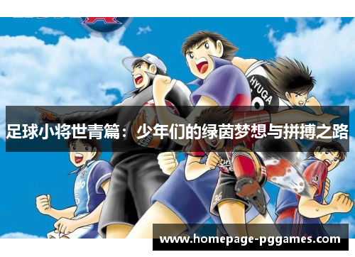 足球小将世青篇：少年们的绿茵梦想与拼搏之路