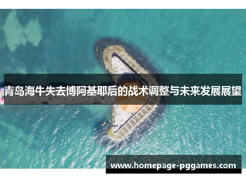 青岛海牛失去博阿基耶后的战术调整与未来发展展望