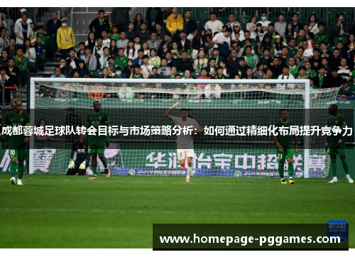 成都蓉城足球队转会目标与市场策略分析：如何通过精细化布局提升竞争力