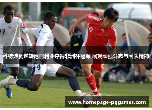 科特迪瓦逆转尼日利亚夺得非洲杯冠军 展现顽强斗志与团队精神 科特迪瓦逆转尼日利亚夺得非洲杯冠军 展现顽强斗志与团队精神