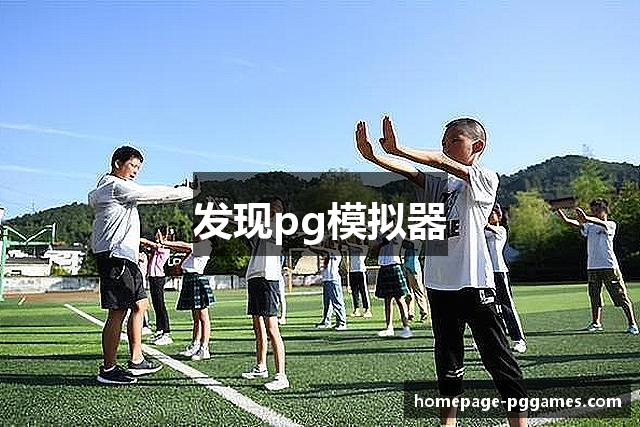 发现pg模拟器